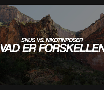 Snus vs. nikotinposer: Hvad er forskellen?