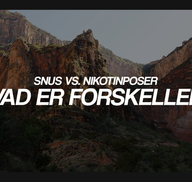 Snus vs. nikotinposer: Hvad er forskellen?