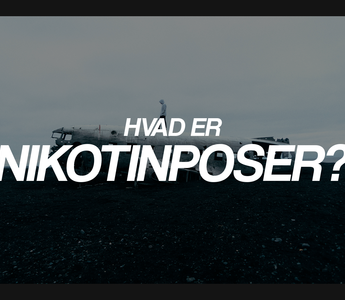 Hvad er nikotinposer?