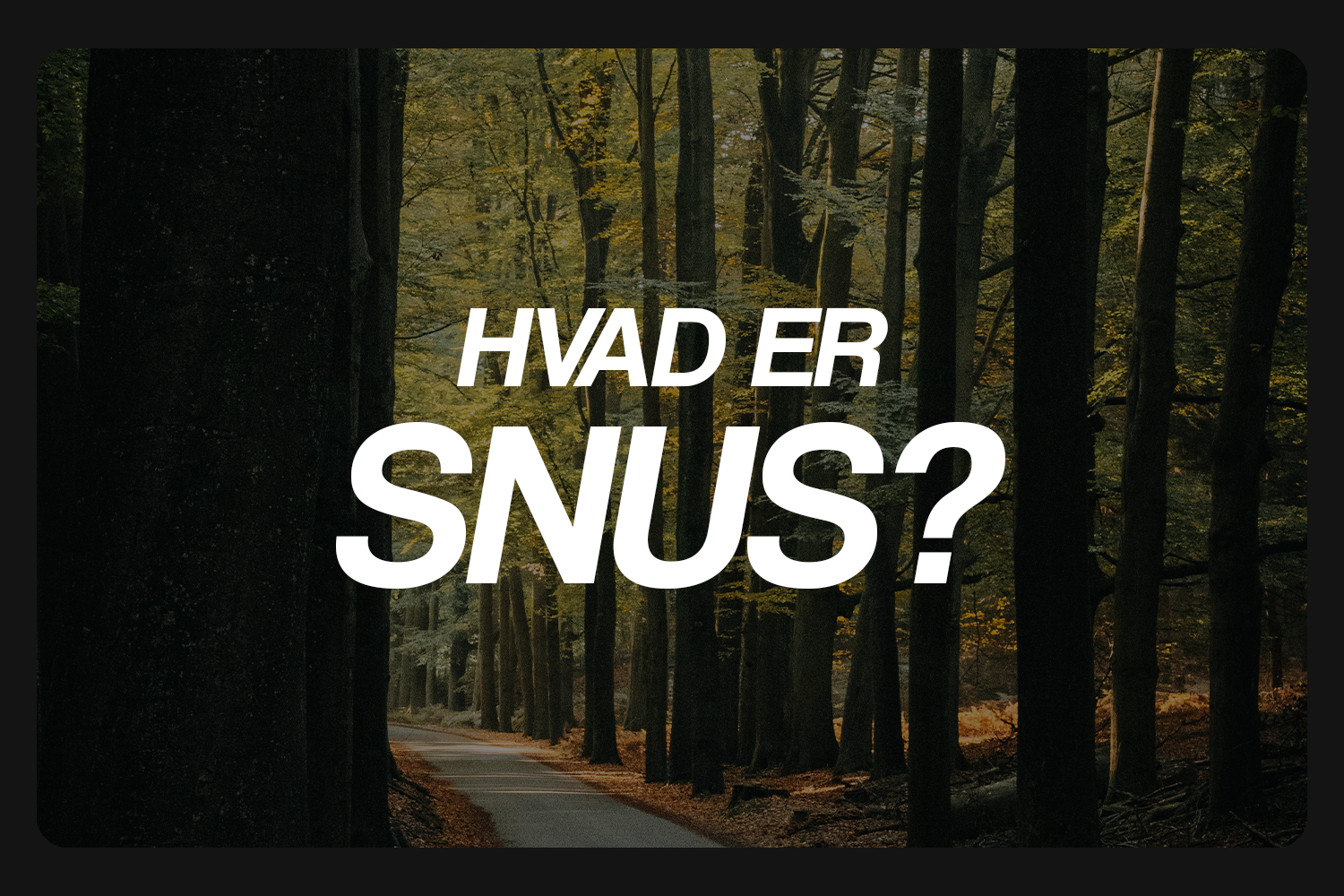 Hvad er snus?