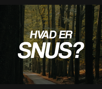 Hvad er snus?