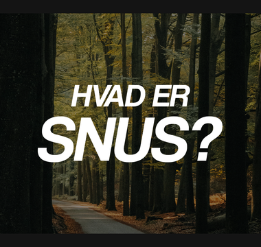 Hvad er snus?