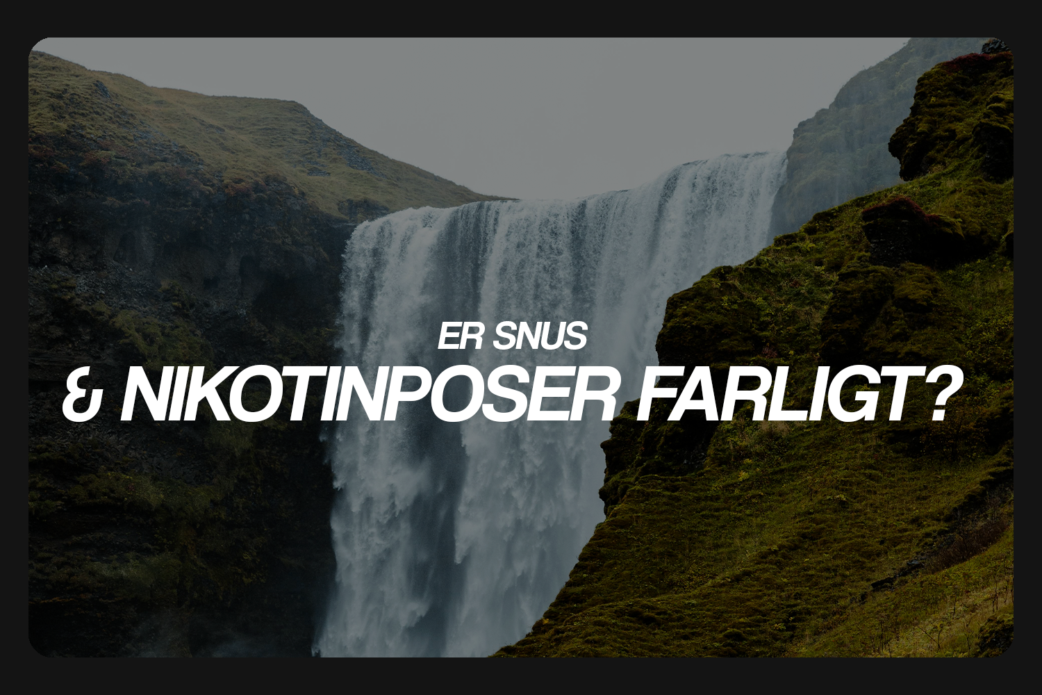 Er snus & nikotinposer farligt?