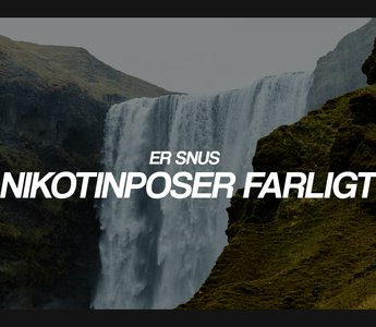 Er snus & nikotinposer farligt?
