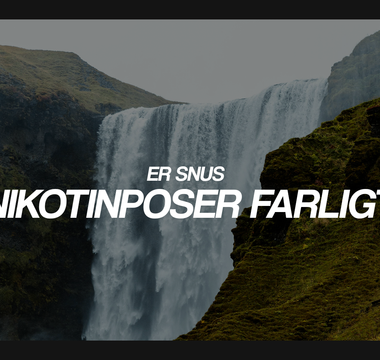 Er snus & nikotinposer farligt?