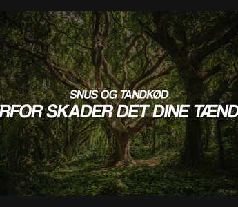 Snus og tandkød: Derfor skader det dine tænder