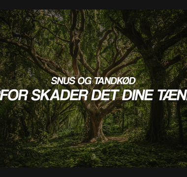 Snus og tandkød: Derfor skader det dine tænder