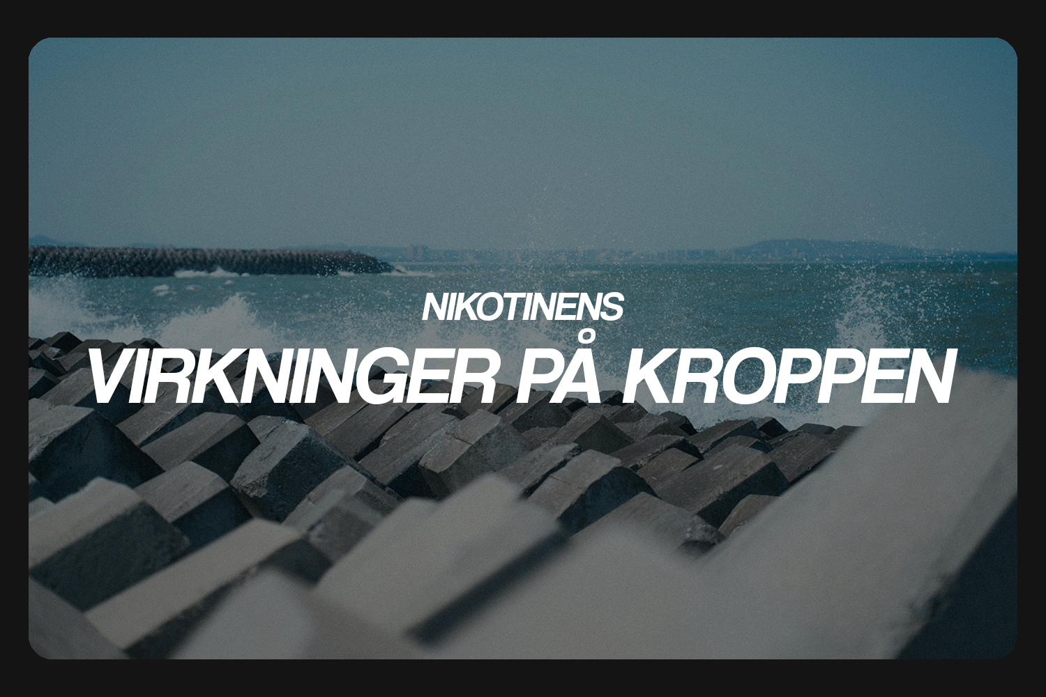 Nikotinens virkninger på kroppen