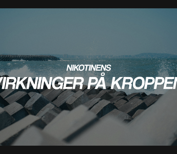 Nikotinens virkninger på kroppen