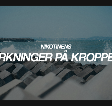 Nikotinens virkninger på kroppen